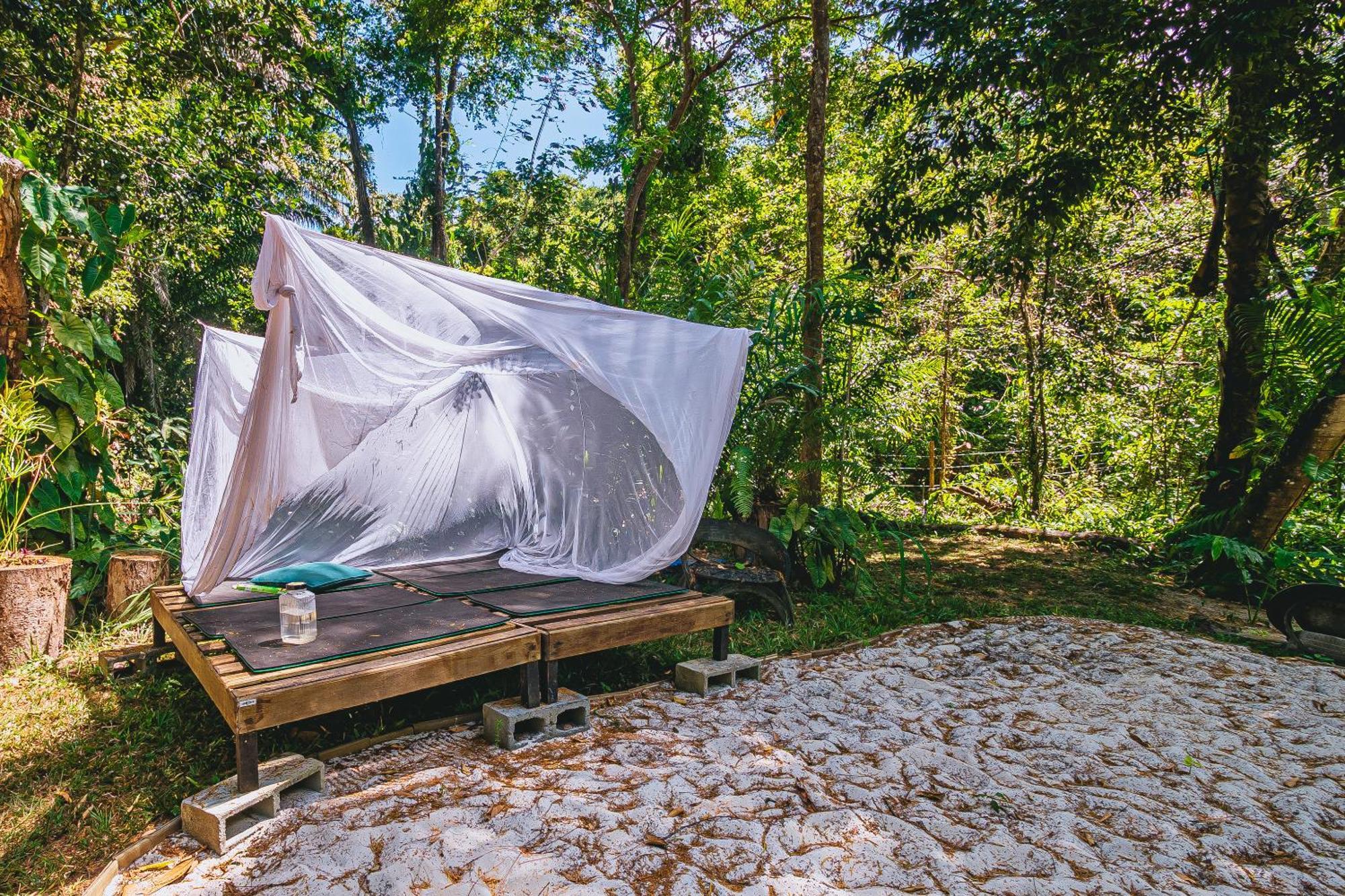 Recanto Dos Passaros Zen Apartamentos Em Meio De Natureza Прая-ду-Форті Екстер'єр фото