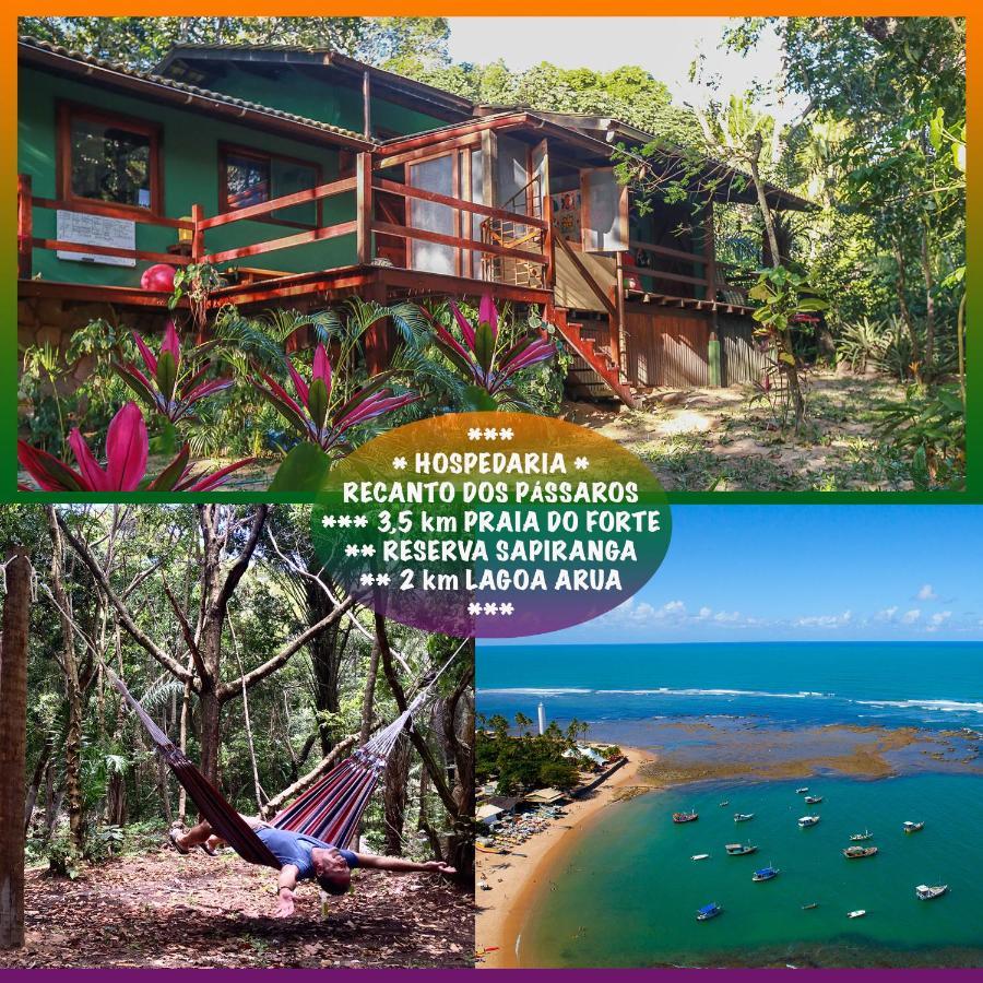 Recanto Dos Passaros Zen Apartamentos Em Meio De Natureza Прая-ду-Форті Екстер'єр фото